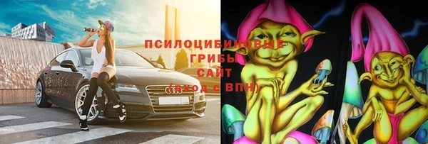 прущая мука Вяземский